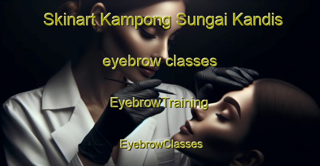 Skinart Kampong Sungai Kandis eyebrow classes | EyebrowTraining | EyebrowClasses | SkinartTraining-Malaysia
