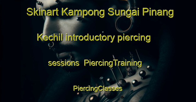 Skinart Kampong Sungai Pinang Kechil introductory piercing sessions | #PiercingTraining #PiercingClasses #SkinartTraining-Malaysia