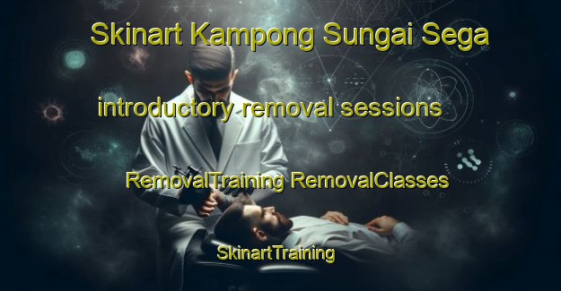 Skinart Kampong Sungai Sega introductory removal sessions | #RemovalTraining #RemovalClasses #SkinartTraining-Malaysia