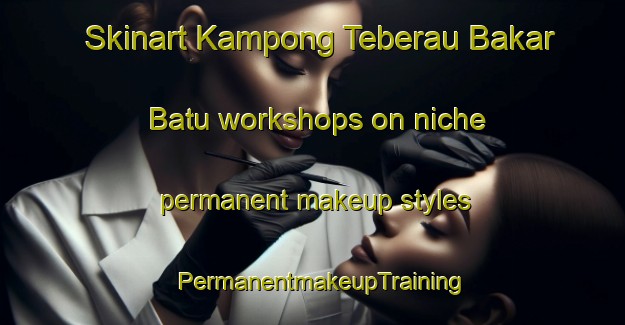 Skinart Kampong Teberau Bakar Batu workshops on niche permanent makeup styles | PermanentmakeupTraining | PermanentmakeupClasses | SkinartTraining-Malaysia