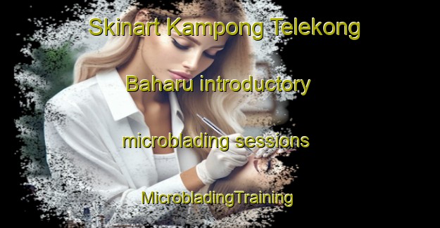 Skinart Kampong Telekong Baharu introductory microblading sessions | #MicrobladingTraining #MicrobladingClasses #SkinartTraining-Malaysia