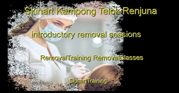 Skinart Kampong Telok Renjuna introductory removal sessions | #RemovalTraining #RemovalClasses #SkinartTraining-Malaysia