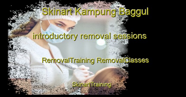 Skinart Kampung Baggul introductory removal sessions | #RemovalTraining #RemovalClasses #SkinartTraining-Malaysia