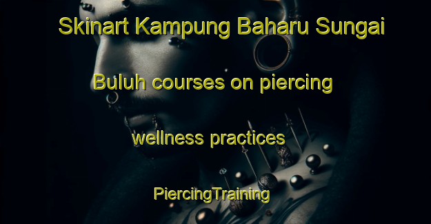 Skinart Kampung Baharu Sungai Buluh courses on piercing wellness practices | #PiercingTraining #PiercingClasses #SkinartTraining-Malaysia