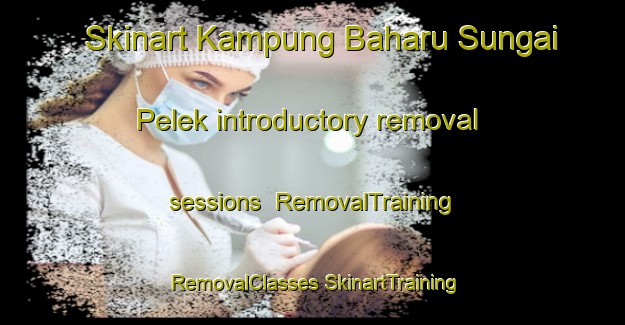 Skinart Kampung Baharu Sungai Pelek introductory removal sessions | #RemovalTraining #RemovalClasses #SkinartTraining-Malaysia