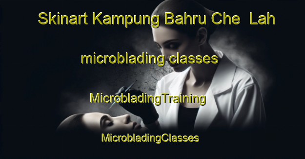 Skinart Kampung Bahru Che  Lah microblading classes | MicrobladingTraining | MicrobladingClasses | SkinartTraining-Malaysia