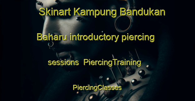 Skinart Kampung Bandukan Baharu introductory piercing sessions | #PiercingTraining #PiercingClasses #SkinartTraining-Malaysia