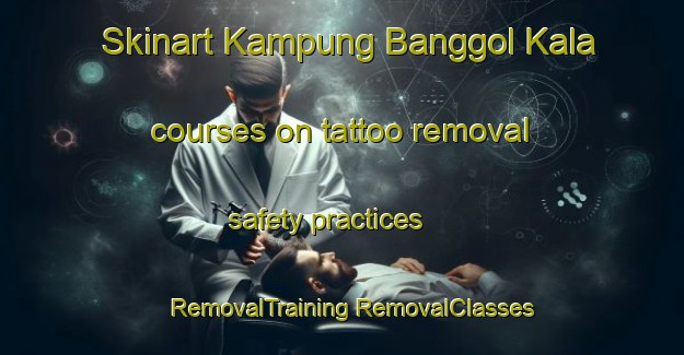 Skinart Kampung Banggol Kala courses on tattoo removal safety practices | #RemovalTraining #RemovalClasses #SkinartTraining-Malaysia