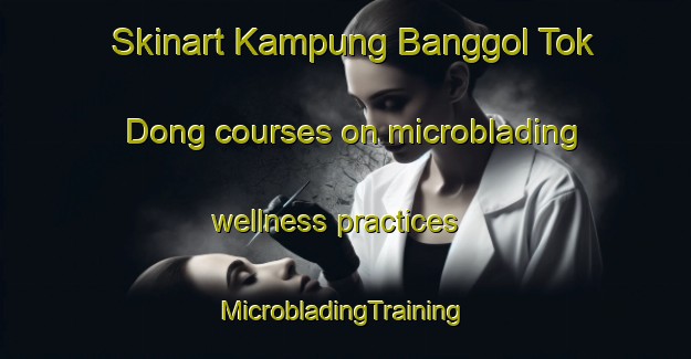 Skinart Kampung Banggol Tok Dong courses on microblading wellness practices | #MicrobladingTraining #MicrobladingClasses #SkinartTraining-Malaysia