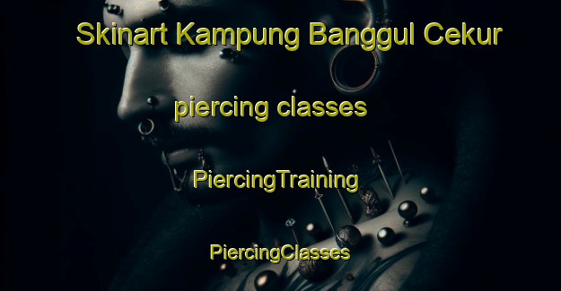 Skinart Kampung Banggul Cekur piercing classes | #PiercingTraining #PiercingClasses #SkinartTraining-Malaysia