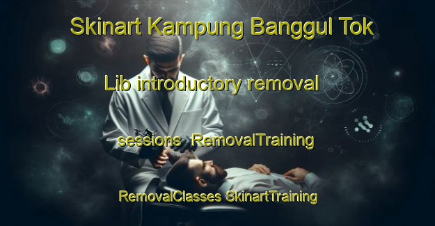 Skinart Kampung Banggul Tok Lib introductory removal sessions | #RemovalTraining #RemovalClasses #SkinartTraining-Malaysia