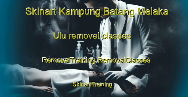 Skinart Kampung Batang Melaka Ulu removal classes | #RemovalTraining #RemovalClasses #SkinartTraining-Malaysia