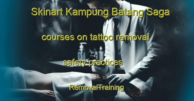 Skinart Kampung Batang Saga courses on tattoo removal safety practices | RemovalTraining | RemovalClasses | SkinartTraining-Malaysia