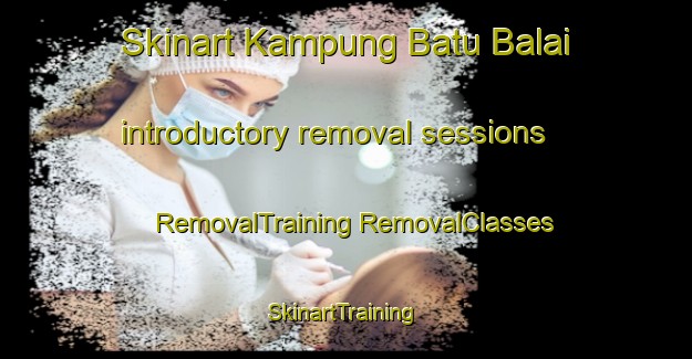 Skinart Kampung Batu Balai introductory removal sessions | #RemovalTraining #RemovalClasses #SkinartTraining-Malaysia