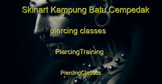 Skinart Kampung Batu Cempedak piercing classes | #PiercingTraining #PiercingClasses #SkinartTraining-Malaysia