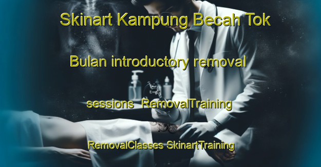 Skinart Kampung Becah Tok Bulan introductory removal sessions | #RemovalTraining #RemovalClasses #SkinartTraining-Malaysia