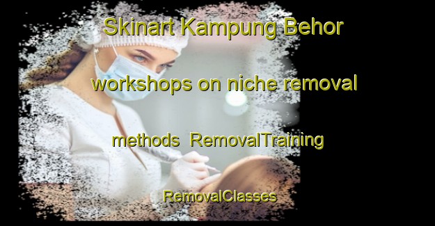 Skinart Kampung Behor workshops on niche removal methods | RemovalTraining | RemovalClasses | SkinartTraining-Malaysia