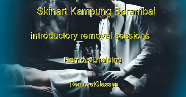 Skinart Kampung Berambai introductory removal sessions | RemovalTraining | RemovalClasses | SkinartTraining-Malaysia