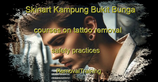 Skinart Kampung Bukit Bunga courses on tattoo removal safety practices | RemovalTraining | RemovalClasses | SkinartTraining-Malaysia