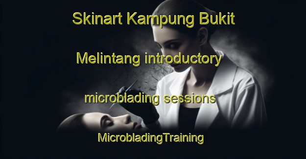 Skinart Kampung Bukit Melintang introductory microblading sessions | #MicrobladingTraining #MicrobladingClasses #SkinartTraining-Malaysia