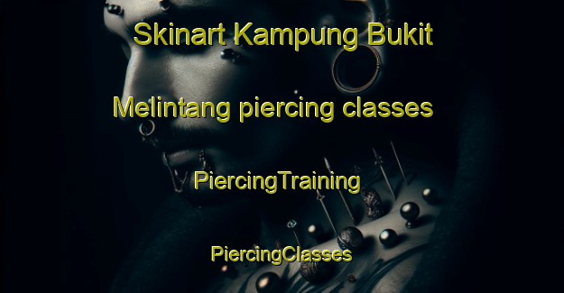 Skinart Kampung Bukit Melintang piercing classes | #PiercingTraining #PiercingClasses #SkinartTraining-Malaysia