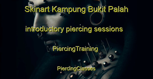 Skinart Kampung Bukit Palah introductory piercing sessions | #PiercingTraining #PiercingClasses #SkinartTraining-Malaysia