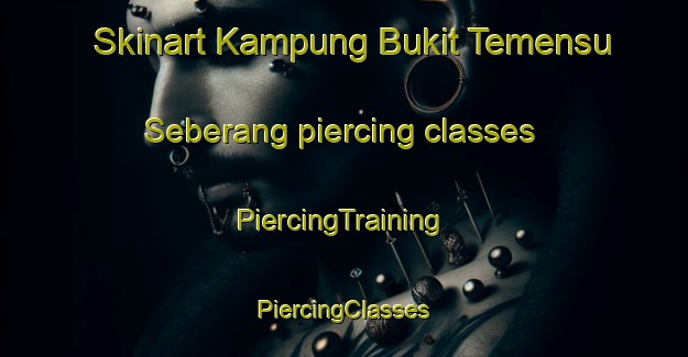 Skinart Kampung Bukit Temensu Seberang piercing classes | #PiercingTraining #PiercingClasses #SkinartTraining-Malaysia