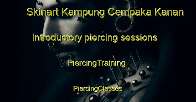 Skinart Kampung Cempaka Kanan introductory piercing sessions | #PiercingTraining #PiercingClasses #SkinartTraining-Malaysia