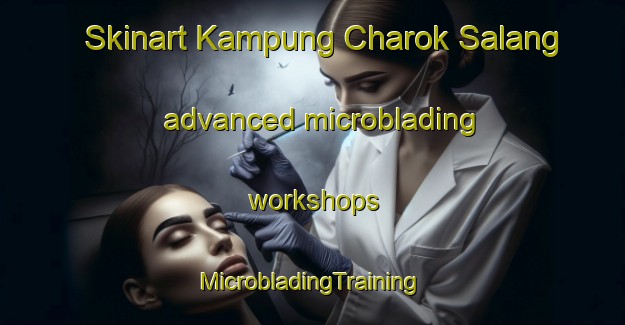 Skinart Kampung Charok Salang advanced microblading workshops | #MicrobladingTraining #MicrobladingClasses #SkinartTraining-Malaysia