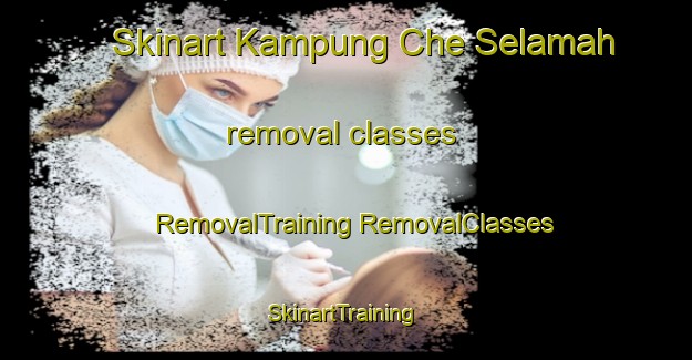 Skinart Kampung Che Selamah removal classes | #RemovalTraining #RemovalClasses #SkinartTraining-Malaysia