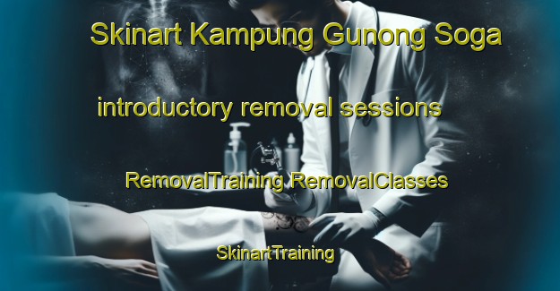 Skinart Kampung Gunong Soga introductory removal sessions | #RemovalTraining #RemovalClasses #SkinartTraining-Malaysia