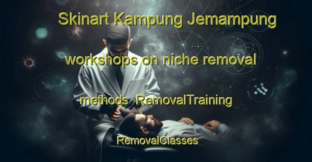 Skinart Kampung Jemampung workshops on niche removal methods | RemovalTraining | RemovalClasses | SkinartTraining-Malaysia