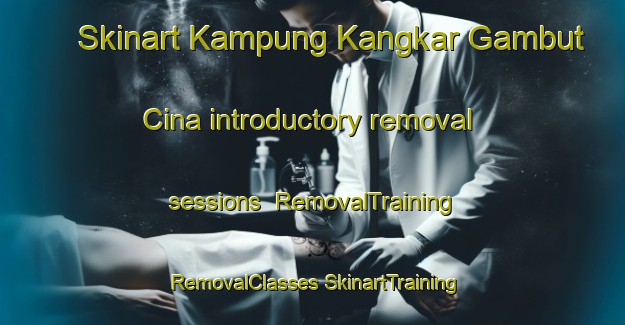 Skinart Kampung Kangkar Gambut Cina introductory removal sessions | #RemovalTraining #RemovalClasses #SkinartTraining-Malaysia