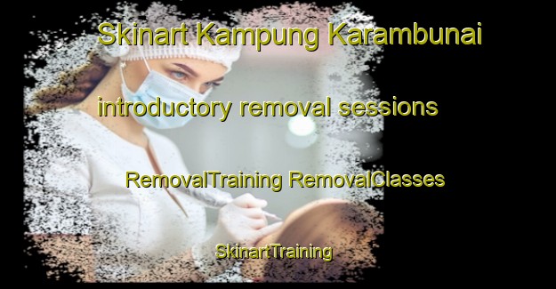 Skinart Kampung Karambunai introductory removal sessions | #RemovalTraining #RemovalClasses #SkinartTraining-Malaysia