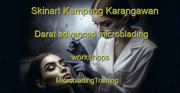 Skinart Kampung Karangawan Darat advanced microblading workshops | MicrobladingTraining | MicrobladingClasses | SkinartTraining-Malaysia