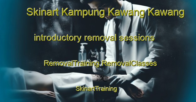 Skinart Kampung Kawang Kawang introductory removal sessions | #RemovalTraining #RemovalClasses #SkinartTraining-Malaysia