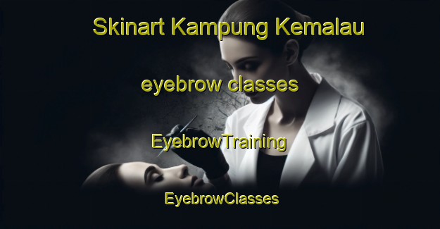 Skinart Kampung Kemalau eyebrow classes | EyebrowTraining | EyebrowClasses | SkinartTraining-Malaysia