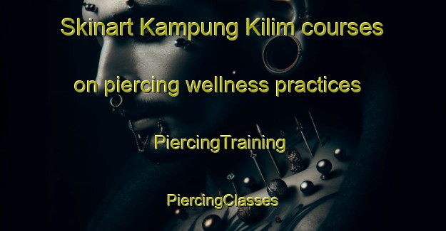 Skinart Kampung Kilim courses on piercing wellness practices | #PiercingTraining #PiercingClasses #SkinartTraining-Malaysia