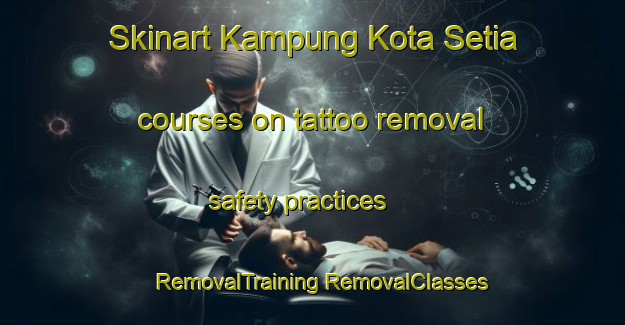 Skinart Kampung Kota Setia courses on tattoo removal safety practices | #RemovalTraining #RemovalClasses #SkinartTraining-Malaysia