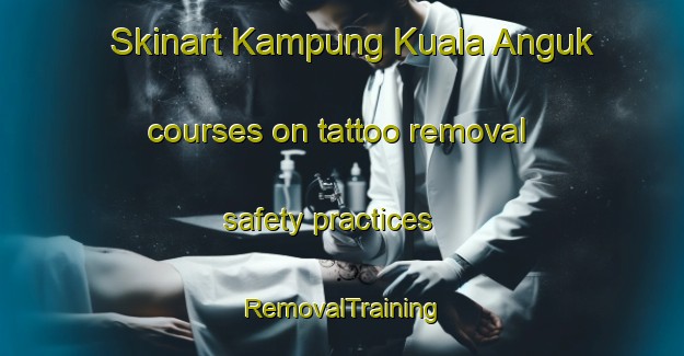 Skinart Kampung Kuala Anguk courses on tattoo removal safety practices | RemovalTraining | RemovalClasses | SkinartTraining-Malaysia