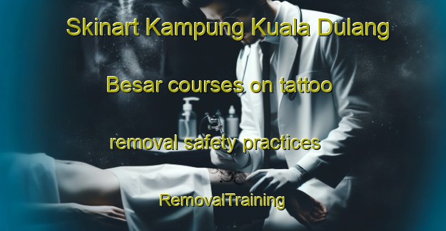 Skinart Kampung Kuala Dulang Besar courses on tattoo removal safety practices | RemovalTraining | RemovalClasses | SkinartTraining-Malaysia