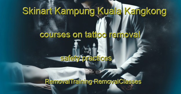 Skinart Kampung Kuala Kangkong courses on tattoo removal safety practices | #RemovalTraining #RemovalClasses #SkinartTraining-Malaysia