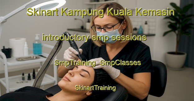 Skinart Kampung Kuala Kemasin introductory smp sessions | SmpTraining | SmpClasses | SkinartTraining-Malaysia