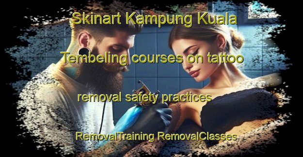 Skinart Kampung Kuala Tembeling courses on tattoo removal safety practices | #RemovalTraining #RemovalClasses #SkinartTraining-Malaysia