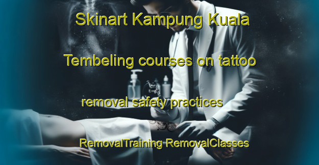 Skinart Kampung Kuala Tembeling courses on tattoo removal safety practices | #RemovalTraining #RemovalClasses #SkinartTraining-Malaysia