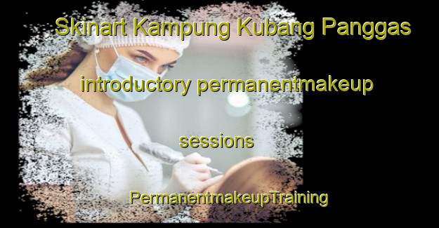 Skinart Kampung Kubang Panggas introductory permanentmakeup sessions | #PermanentmakeupTraining #PermanentmakeupClasses #SkinartTraining-Malaysia