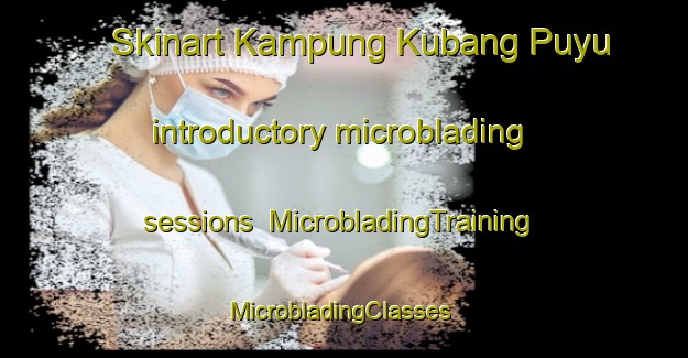 Skinart Kampung Kubang Puyu introductory microblading sessions | MicrobladingTraining | MicrobladingClasses | SkinartTraining-Malaysia