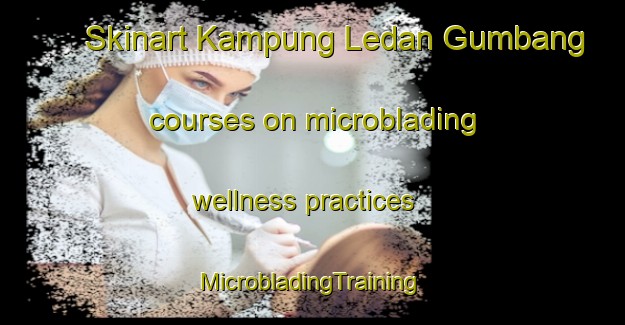 Skinart Kampung Ledan Gumbang courses on microblading wellness practices | #MicrobladingTraining #MicrobladingClasses #SkinartTraining-Malaysia