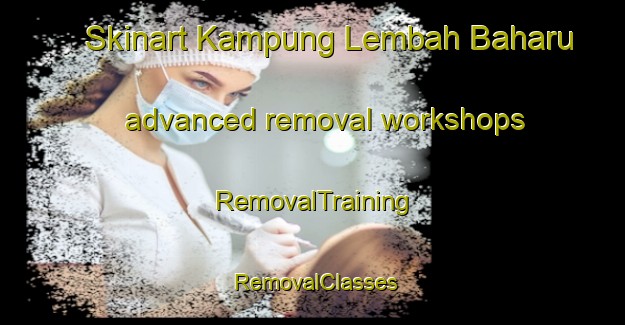 Skinart Kampung Lembah Baharu advanced removal workshops | RemovalTraining | RemovalClasses | SkinartTraining-Malaysia