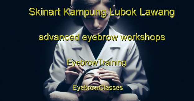 Skinart Kampung Lubok Lawang advanced eyebrow workshops | EyebrowTraining | EyebrowClasses | SkinartTraining-Malaysia